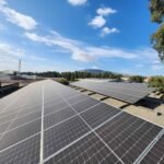 WhatsApp-Image-2024-11-15-a-12.34.11_03e76850-scaled